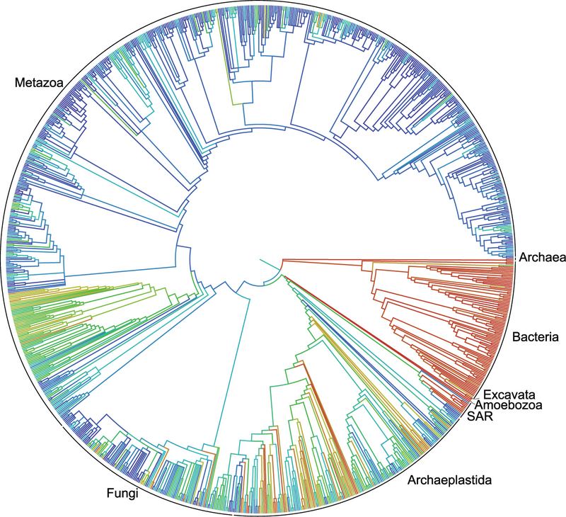 Illustration for article titled Scientists Have Drafted a Complete Tree of LifeÂ